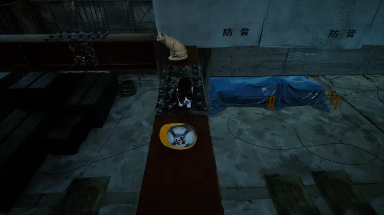 Naklejka Super Shinji