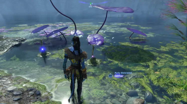 Murky Waterweed (Legendary)