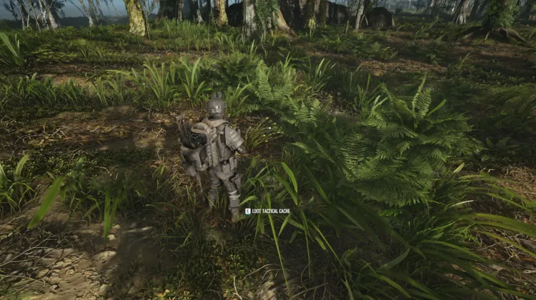 Tactical Caches