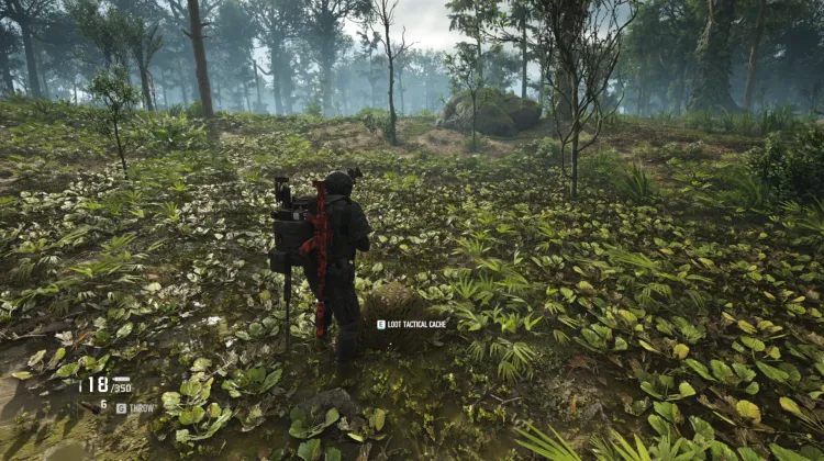 Tactical Caches