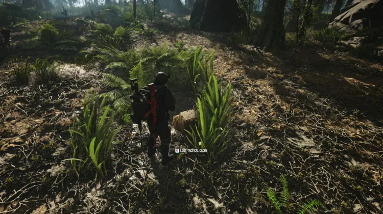 Tactical Caches