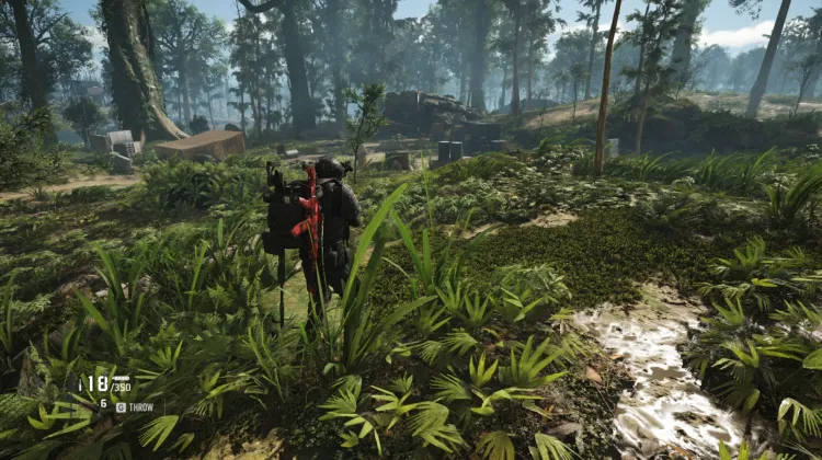 Sentinel Corp. Location