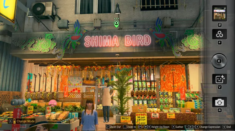 Shima Bird