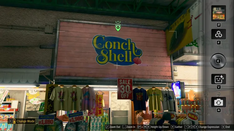 Conch Shell