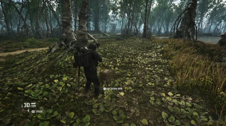 Tactical Caches