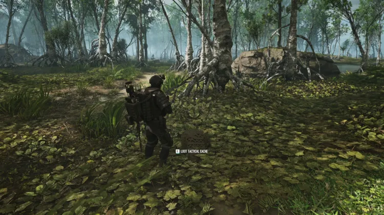 Tactical Caches