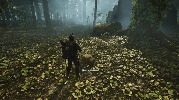 Tactical Caches