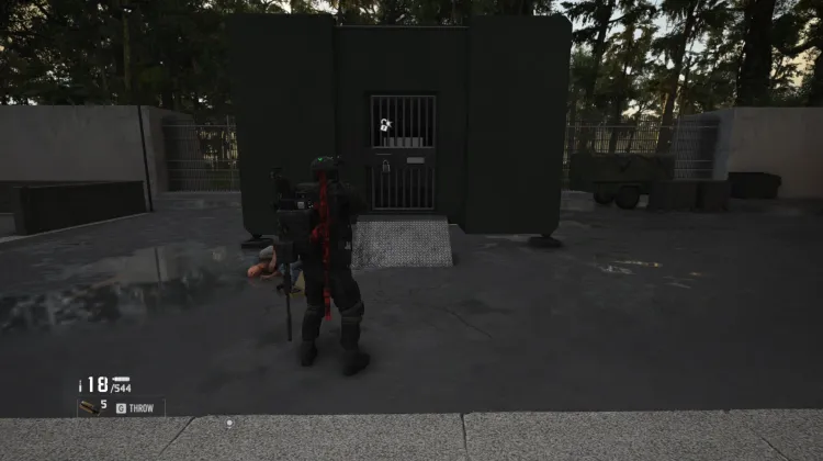 Hostage