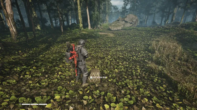 Tactical Caches