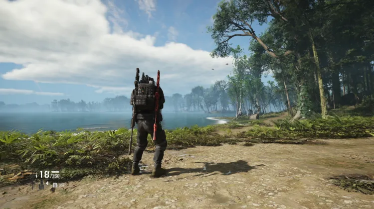 Murmur Patrol Area