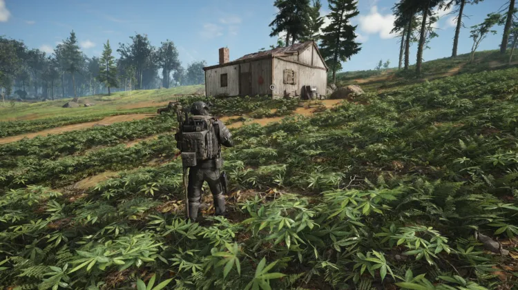 Abandoned Site
