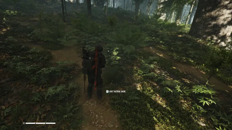 Tactical Caches