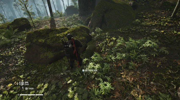Tactical Caches