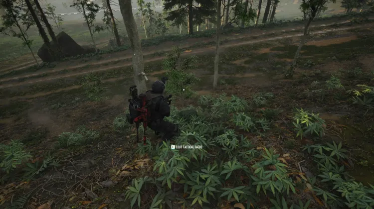 Tactical Caches