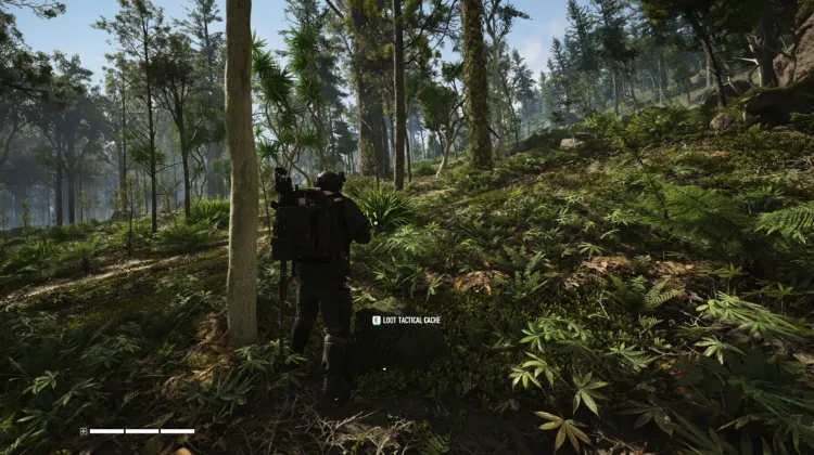 Tactical Caches