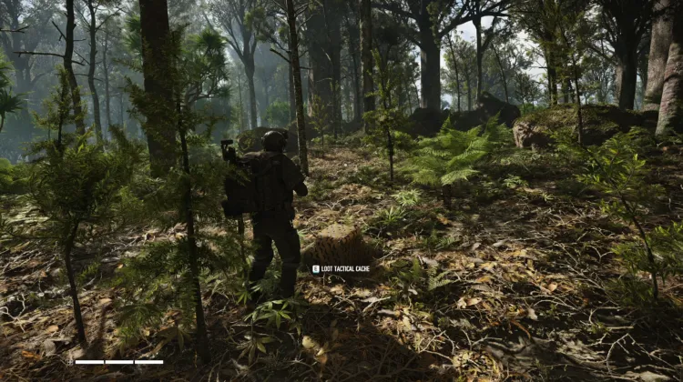 Tactical Caches