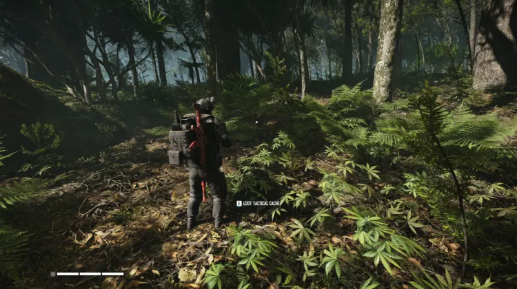 Tactical Caches