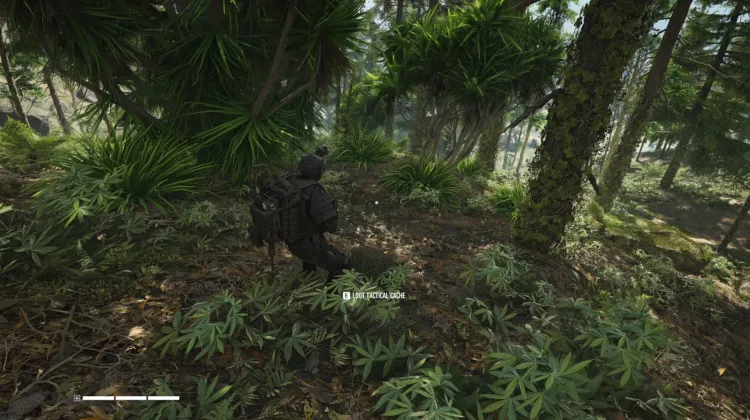 Tactical Caches