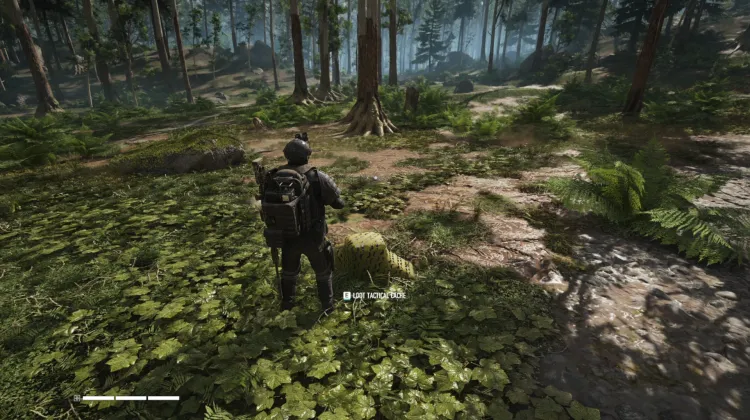 Tactical Caches