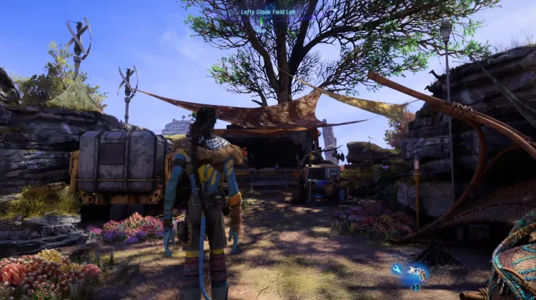 Lofty Glade Field Lab