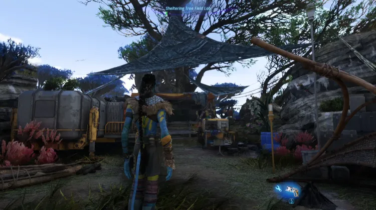 Sheltering Tree Field Lab