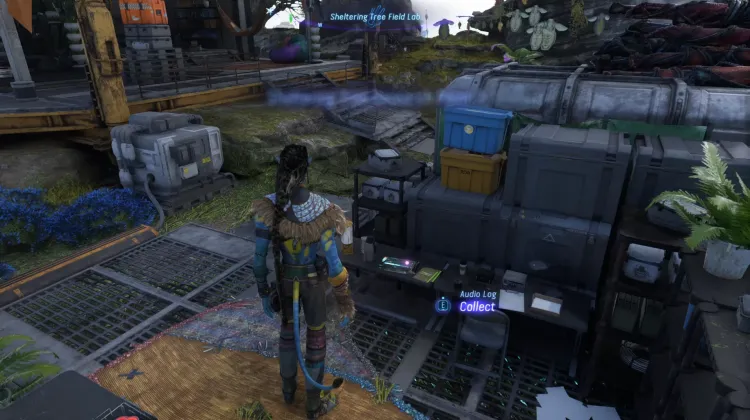 The Great Games - A Xenological Revolution