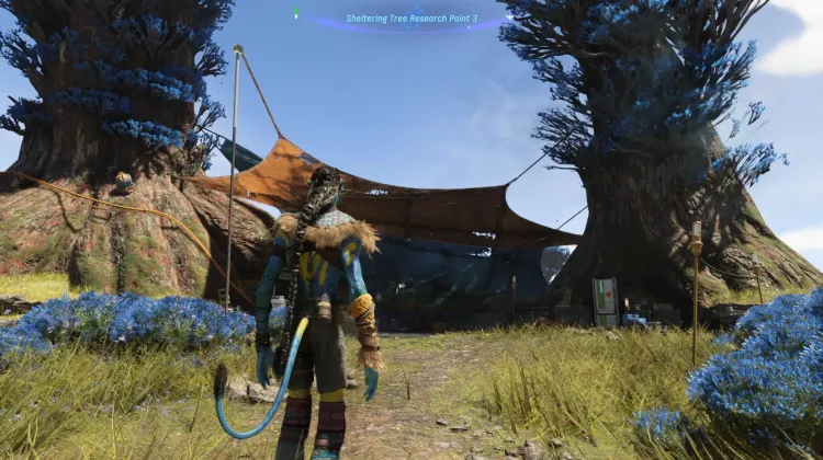 Sheltering Tree Research Point 3