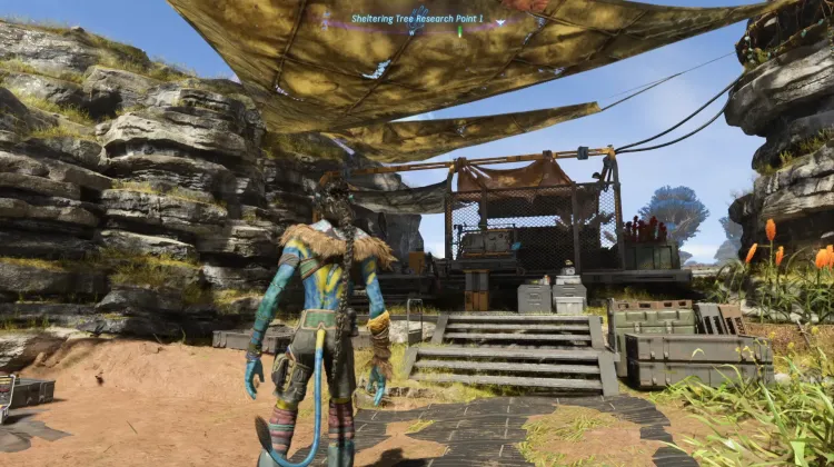 Sheltering Tree Research Point 1