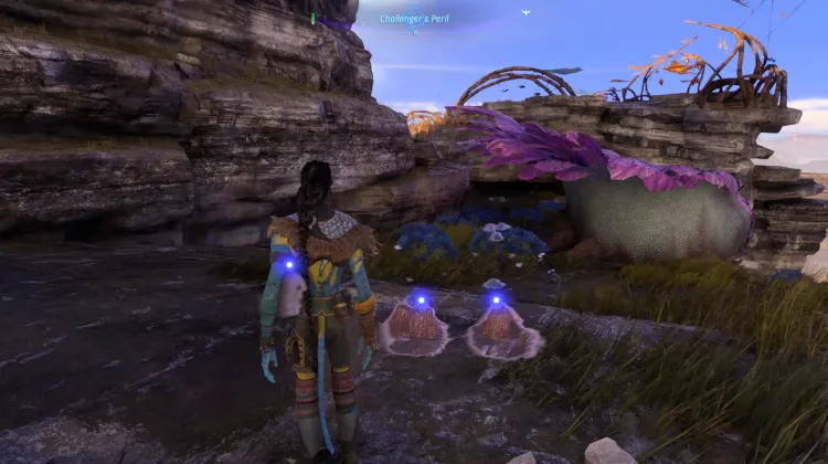 Lamp Lizard Eggs (Exquisite)