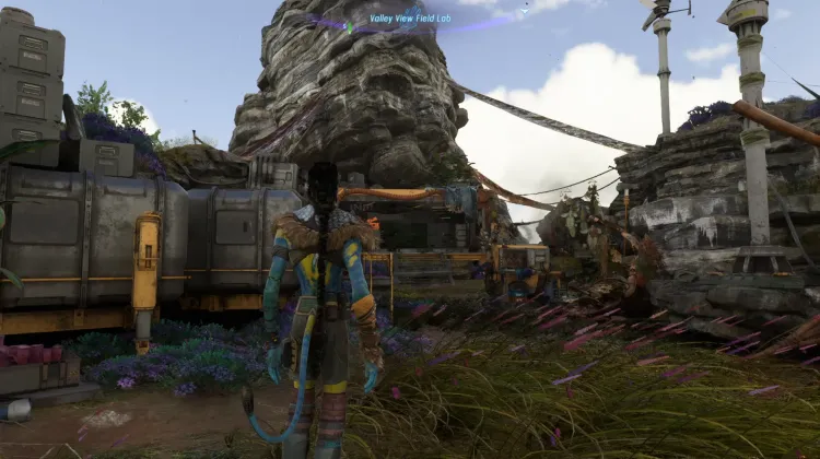 Valley View Field Lab