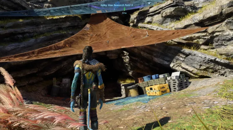 Valley View Research Point 3