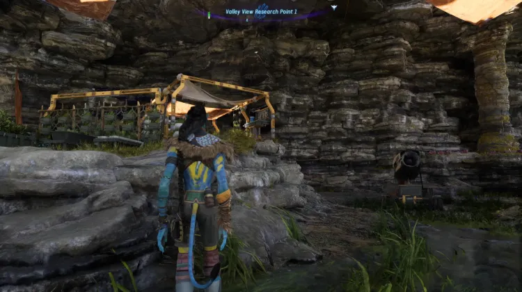 Valley View Research Point 1