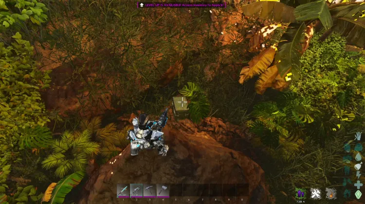 Kentrosaurus Dossier