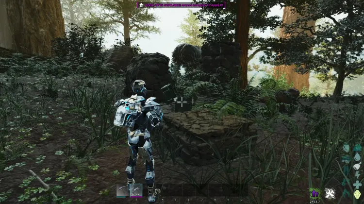 Paraceratherium Dossier