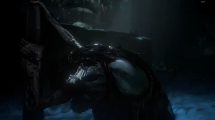 Die Zerrissenen Zwillinge