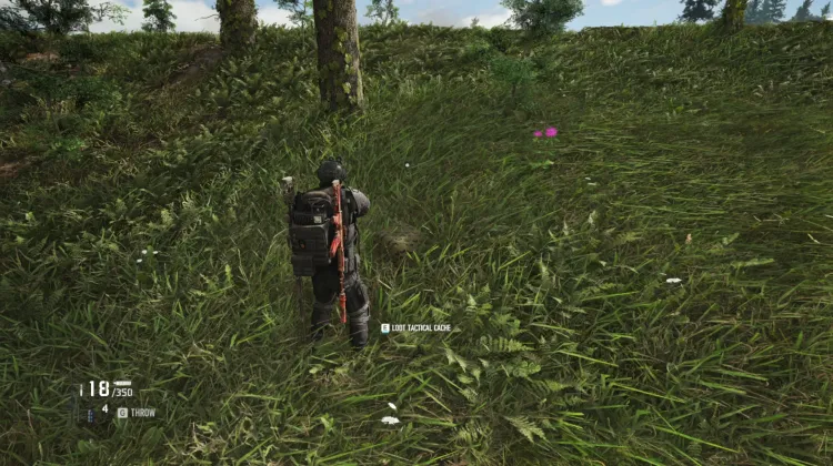 Tactical Caches