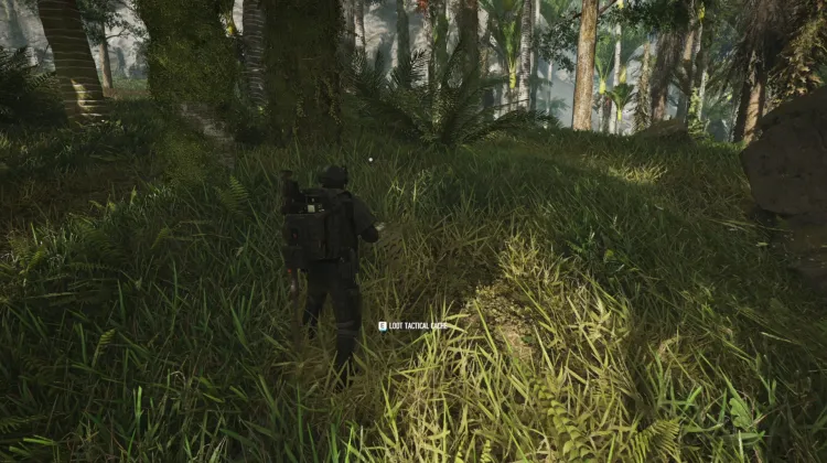 Tactical Caches