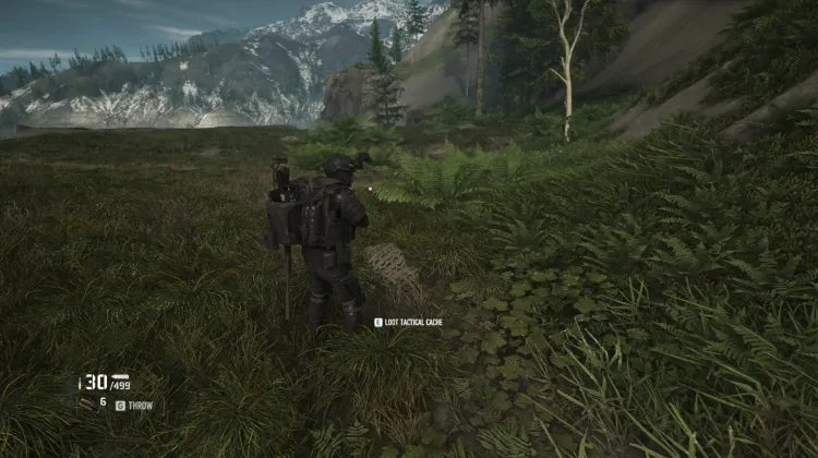 Tactical Caches