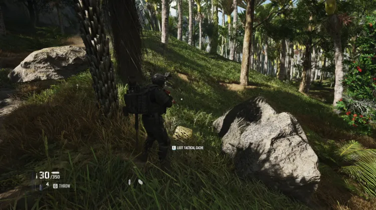 Tactical Caches
