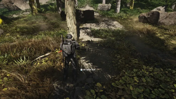 Tactical Caches