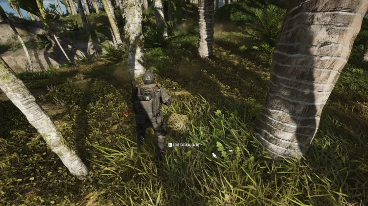 Tactical Caches