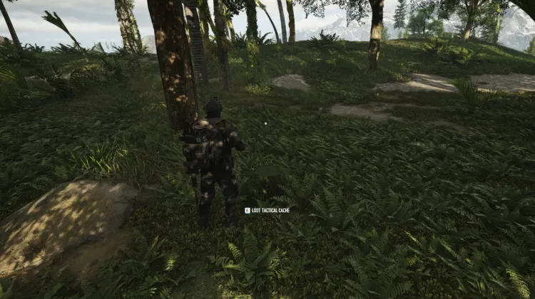 Tactical Caches