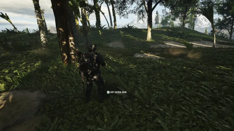 Tactical Caches