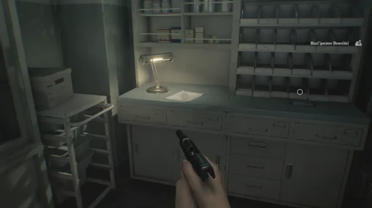 Victor's Journal Entry