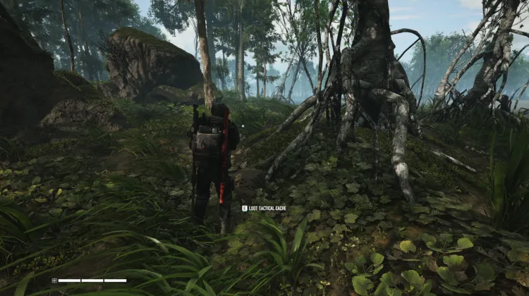 Tactical Caches
