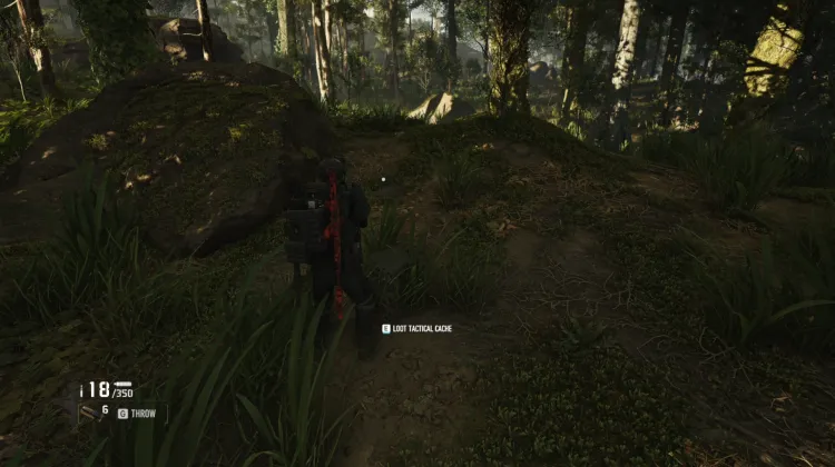 Tactical Caches