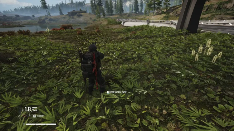 Tactical Caches