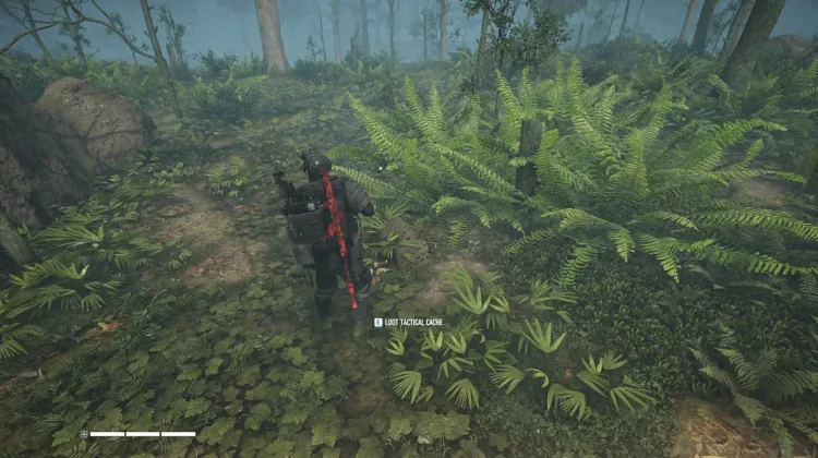 Tactical Caches