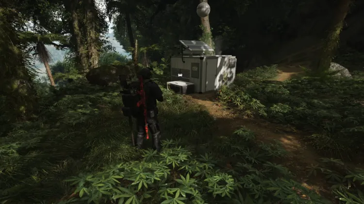 Nomad
