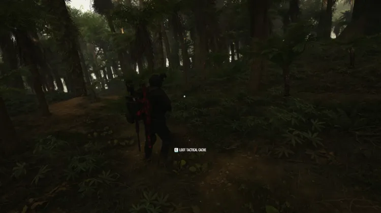 Tactical Caches